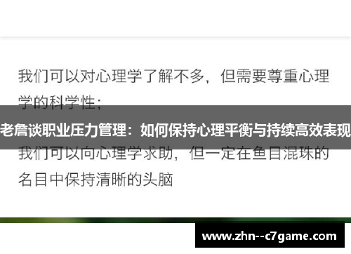 老詹谈职业压力管理:如何保持心理平衡与持续高效表现 老詹谈职业压力管理:如何保持心理平衡与持续高效表现