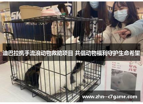 迪巴拉携手流浪动物救助项目 共倡动物福利守护生命希望 迪巴拉携手流浪动物救助项目 共倡动物福利守护生命希望