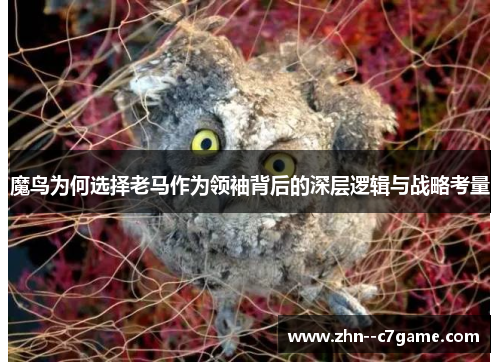 魔鸟为何选择老马作为领袖背后的深层逻辑与战略考量